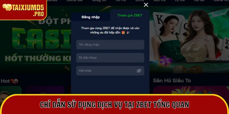 Chỉ dẫn sử dụng dịch vụ tại Zbet tổng quan