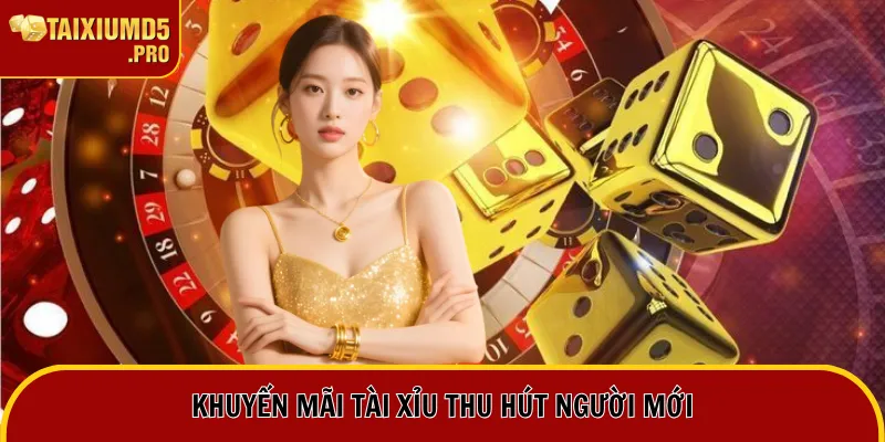 Khuyến mãi tài xỉu thu hút người mới