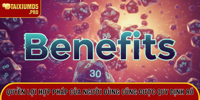 Quyền lợi hợp pháp của người dùng cũng được quy định rõ