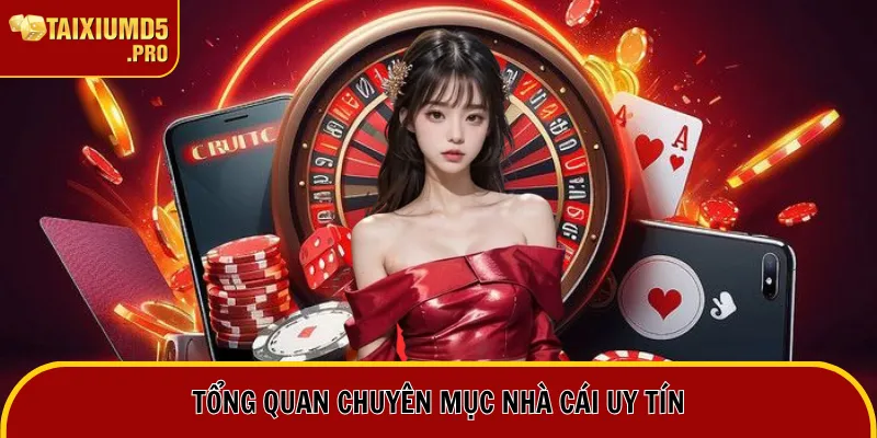 Tổng quan chuyên mục nhà cái uy tín