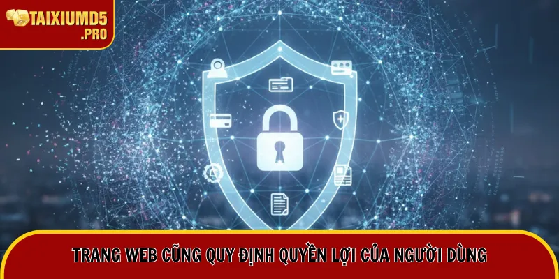 Trang web cũng quy định quyền lợi của người dùng